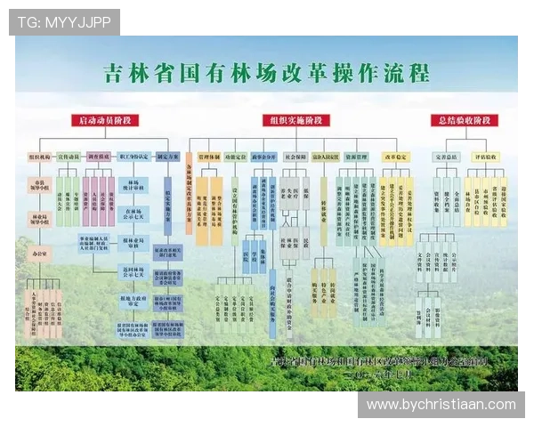 AG厅总部会员注册常见问题解答以及详细操作流程详细解读