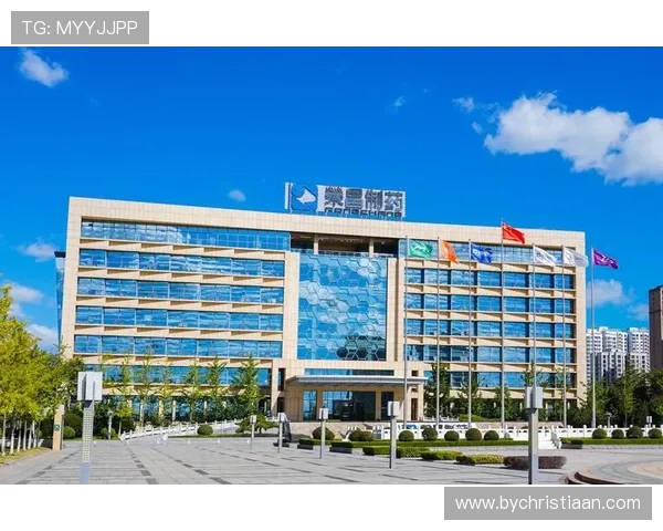 K8.com凯发网投平台的安全保障体系详解确保玩家资金与信息安全无忧